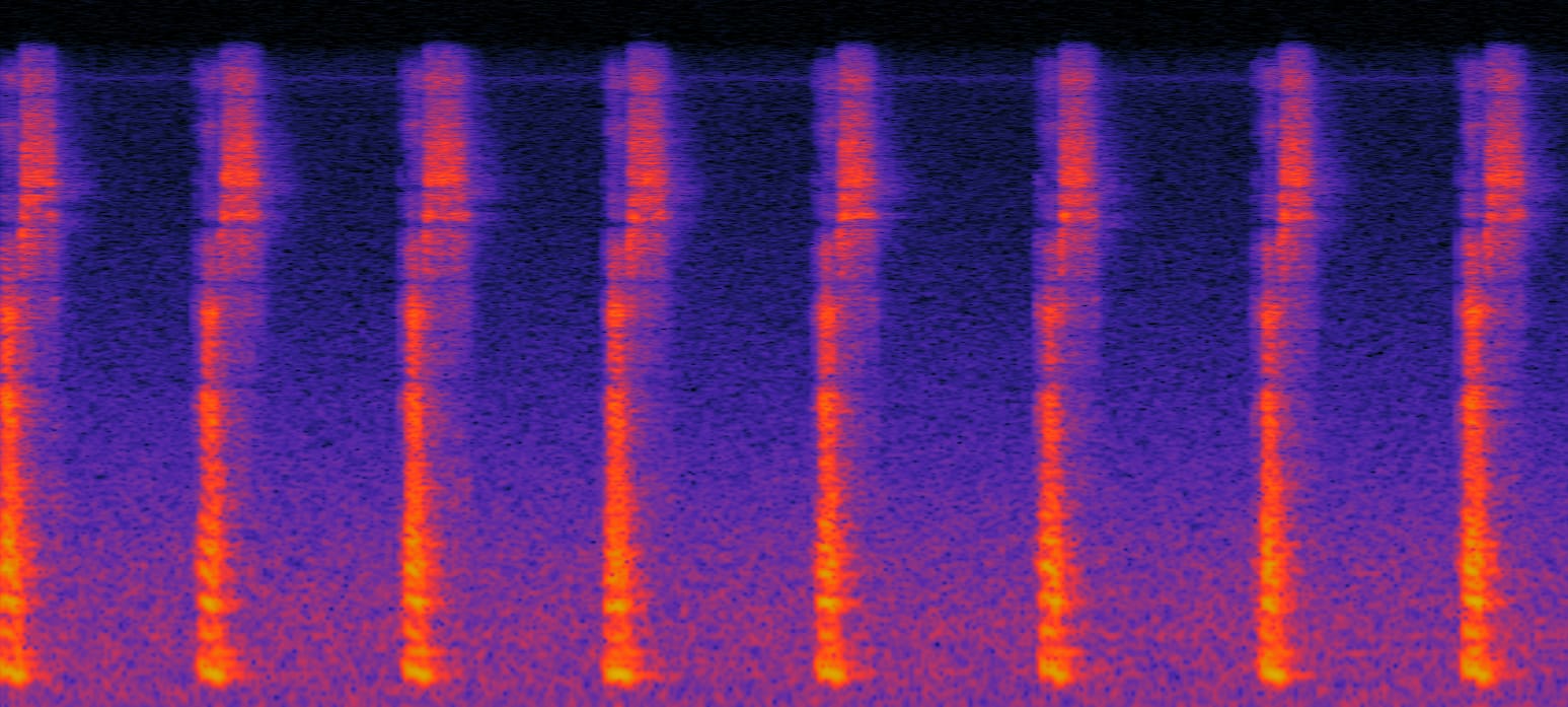 &#039;S&#039; Sound Spectrogram
